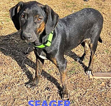 Photo of Saeger