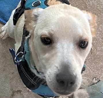 Photo of Max