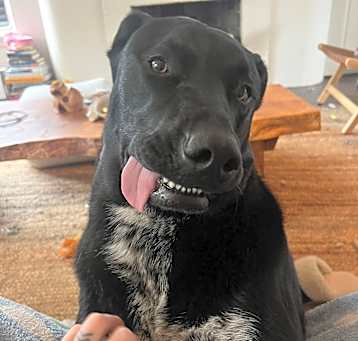 Photo of Axel