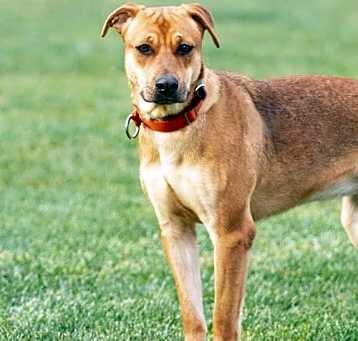 Photo of Bonnie