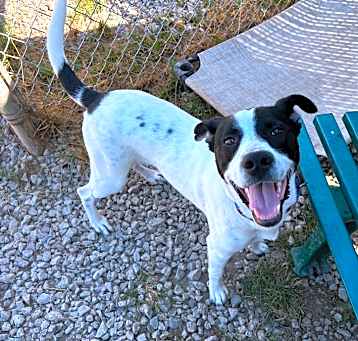 Photo of Rummy