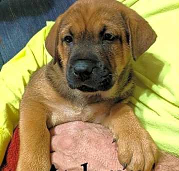 Photo of Azlynn