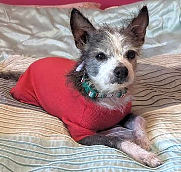 Photo of Tank