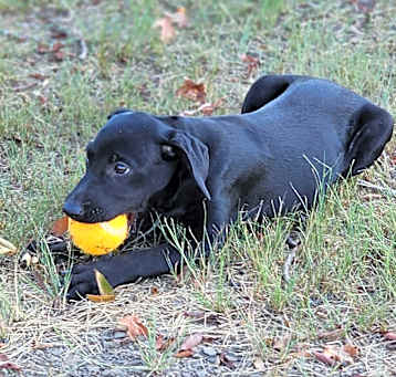 Photo of Lyla