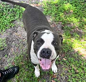 Photo of Hades