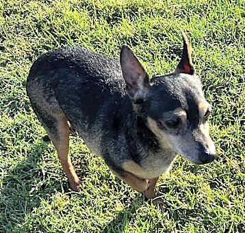 Photo of Edward