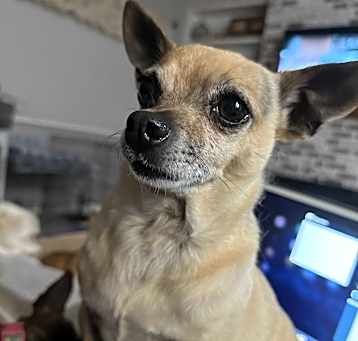 Photo of Lala