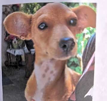 Photo of Solo