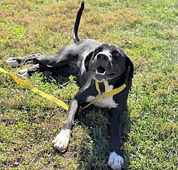 Photo of Tippi