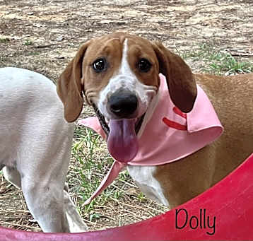Photo of Dolly Pawton
