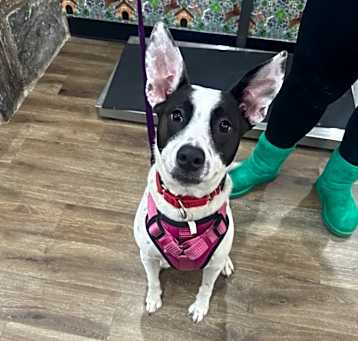 Photo of Miss Misty