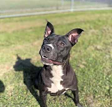 Photo of Zuri