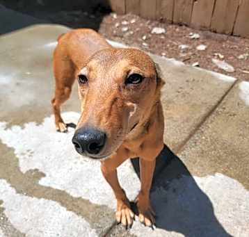 Photo of Carmel