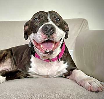 Photo of Sophie
