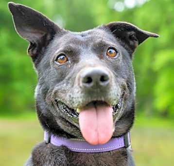 Photo of Mable
