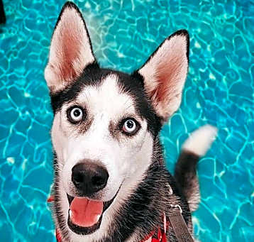 Photo of Axel