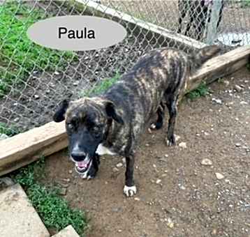 Photo of Paula
