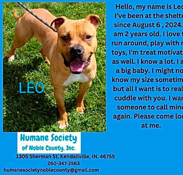 Photo of Leo