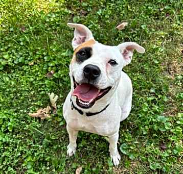 Photo of Precious