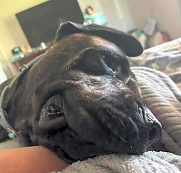 Photo of Kimber