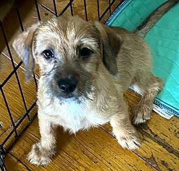 Photo of Spunkie
