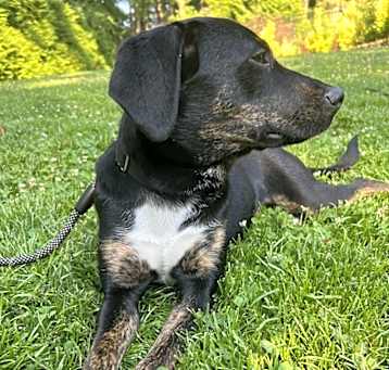 Photo of SHILOH