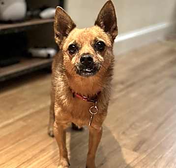 Photo of Rosco