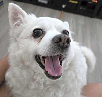 Photo of Cleo