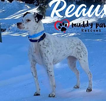 Photo of Reaux - Courtesy Post