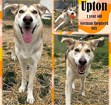 Photo of Upton