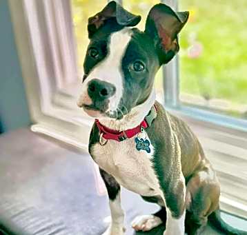Photo of Bourbon
