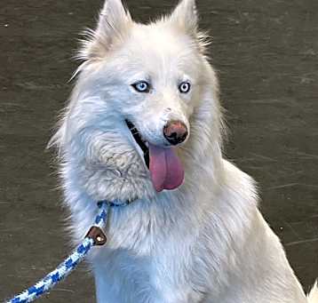Photo of Kalana