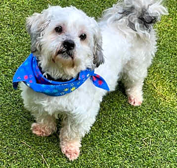 Photo of Doobie