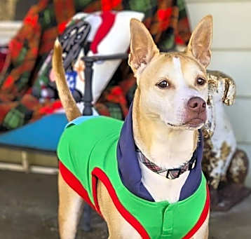 Photo of Gunnar