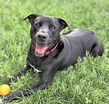 Photo of Bruce