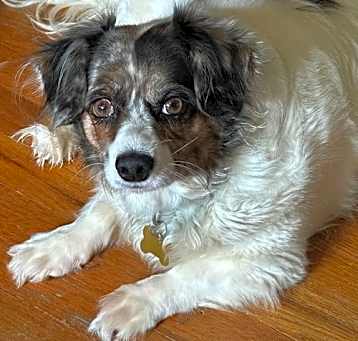 Photo of Sophia