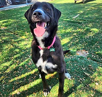 Photo of Greta