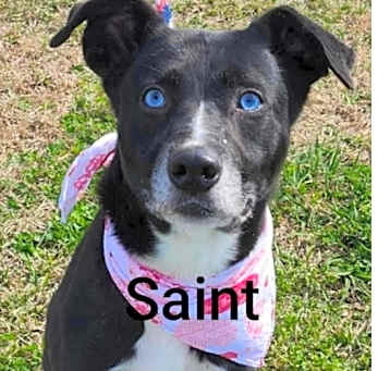 Photo of Saint