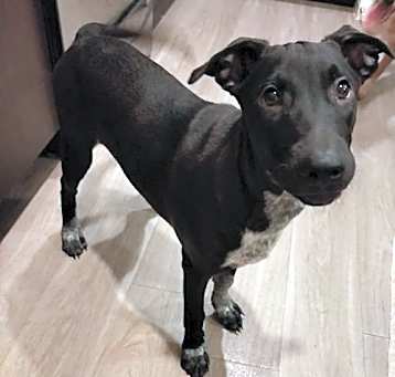 Photo of Stanley