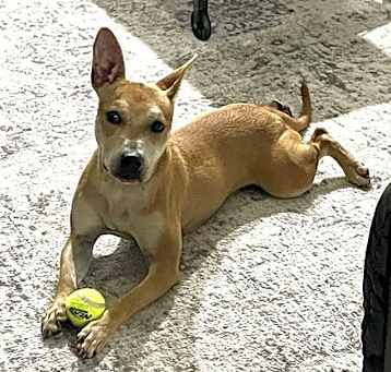 Photo of CHEROKEE