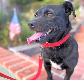 Photo of Toto