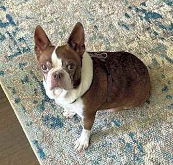 Photo of Miss Bella