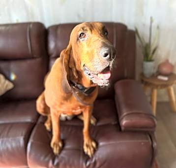 Photo of Fancy