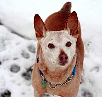 Photo of Rocky Road