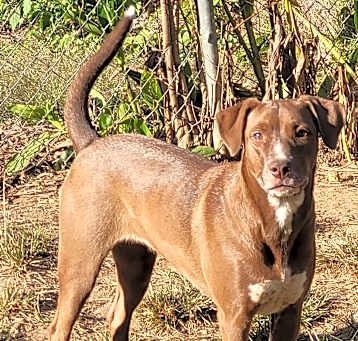 Photo of Lucy