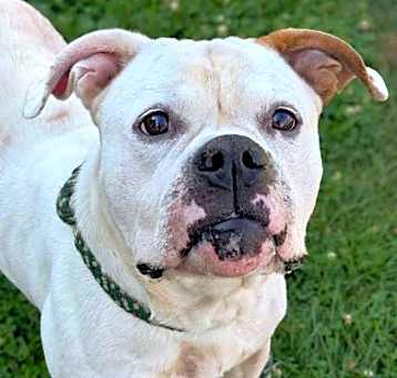 Photo of Leroy