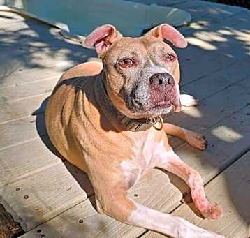 Photo of Misfit