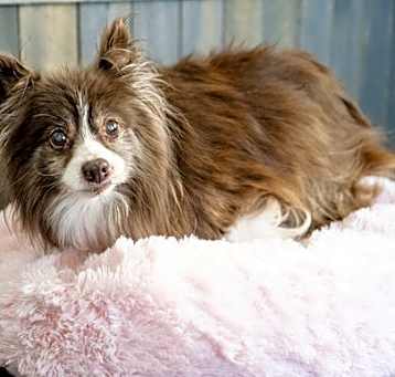 Photo of Gladys