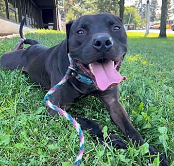 Photo of Maverick