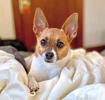 Photo of Cleo